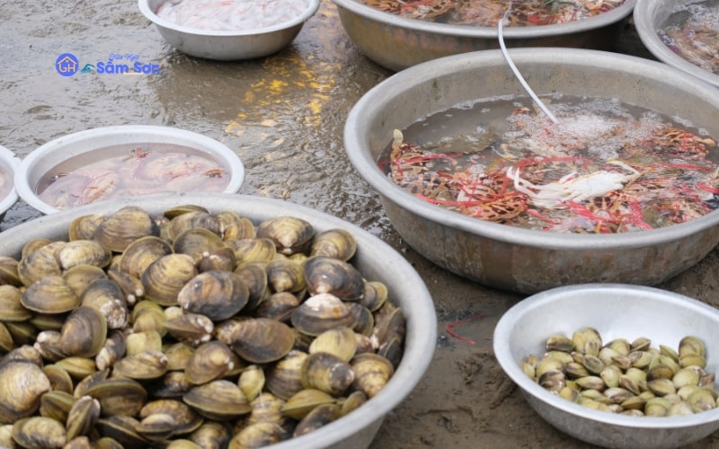 Hải sản tươi ngon tại bãi tắm D