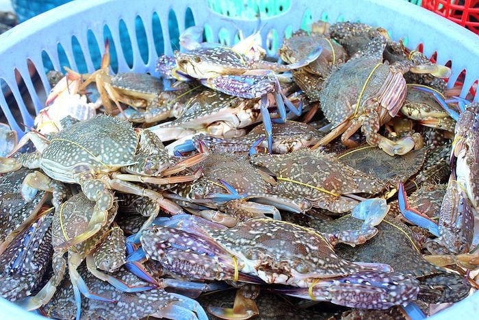 Cua ghẹ đặc sản Sầm Sơn